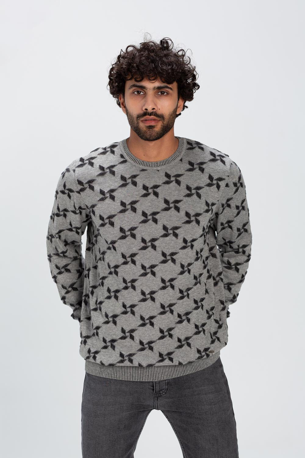 Men's Rounded Neck Basic Made Of Soft Wool With Designed Pattern Pullover Multi Color