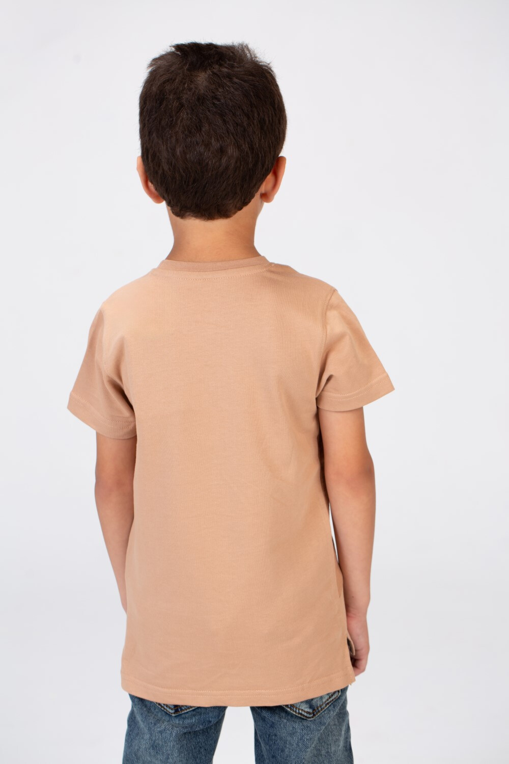 Boys Round Neck Half Sleeves T-shirt With Tomato Print And A Summer Melton Material