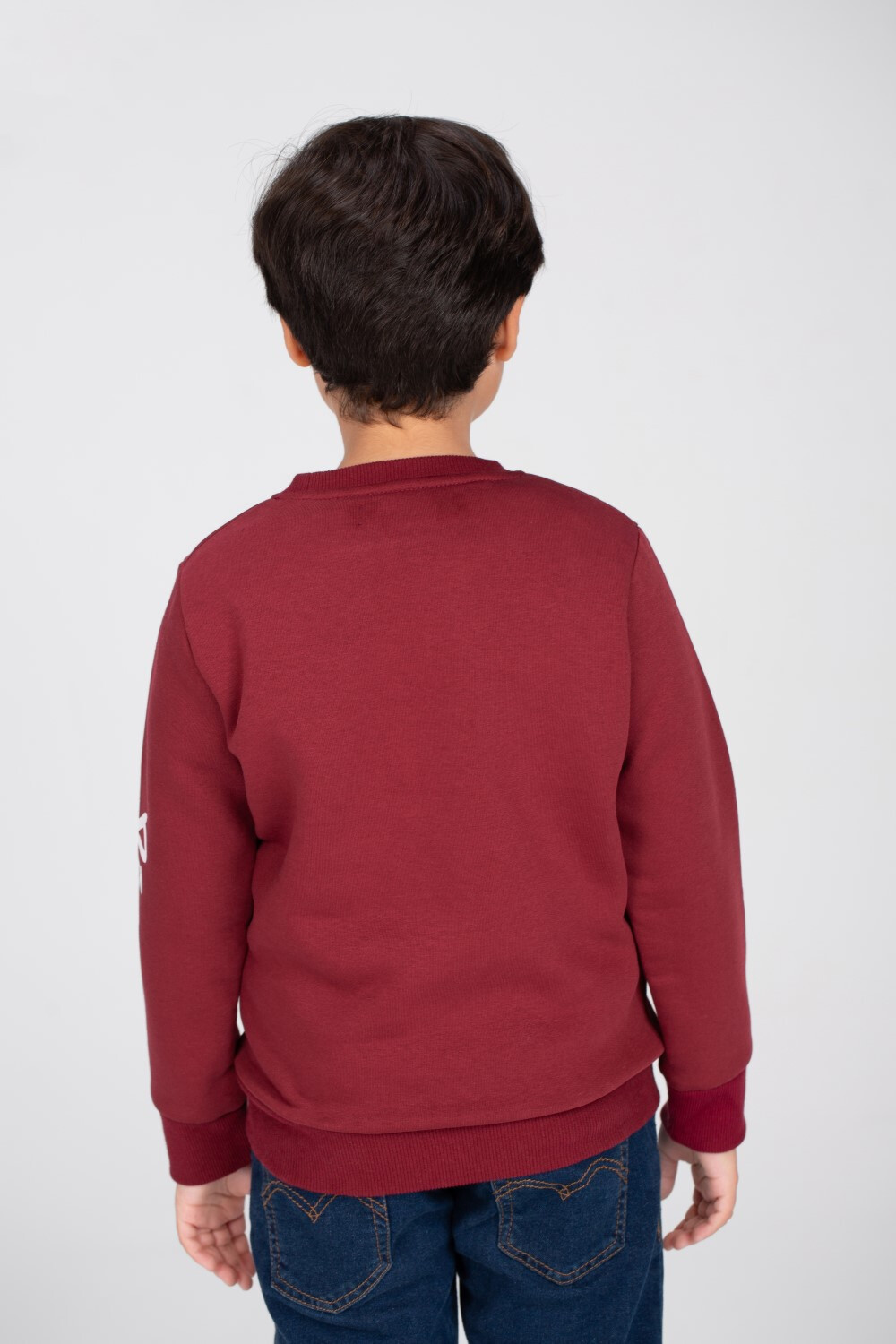 Boy's Regular Fit Made Of Comfort Melton Rounded Neck Padded Front Printed Sweatshirt