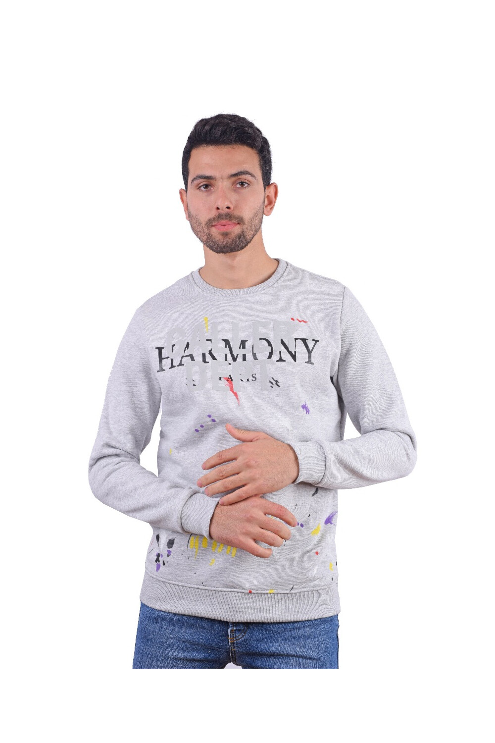 Men's Regular Fit Crew Neck Printed Long Sleeves Padded Sweatshirt
