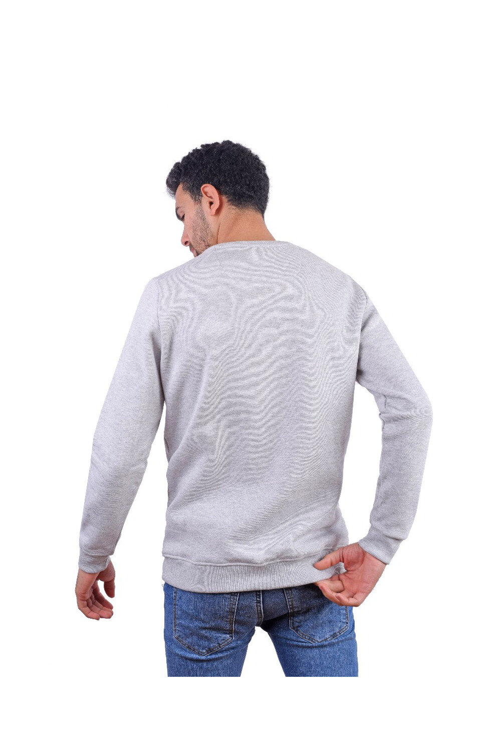 Men's Regular Fit Crew Neck Printed Long Sleeves Padded Sweatshirt