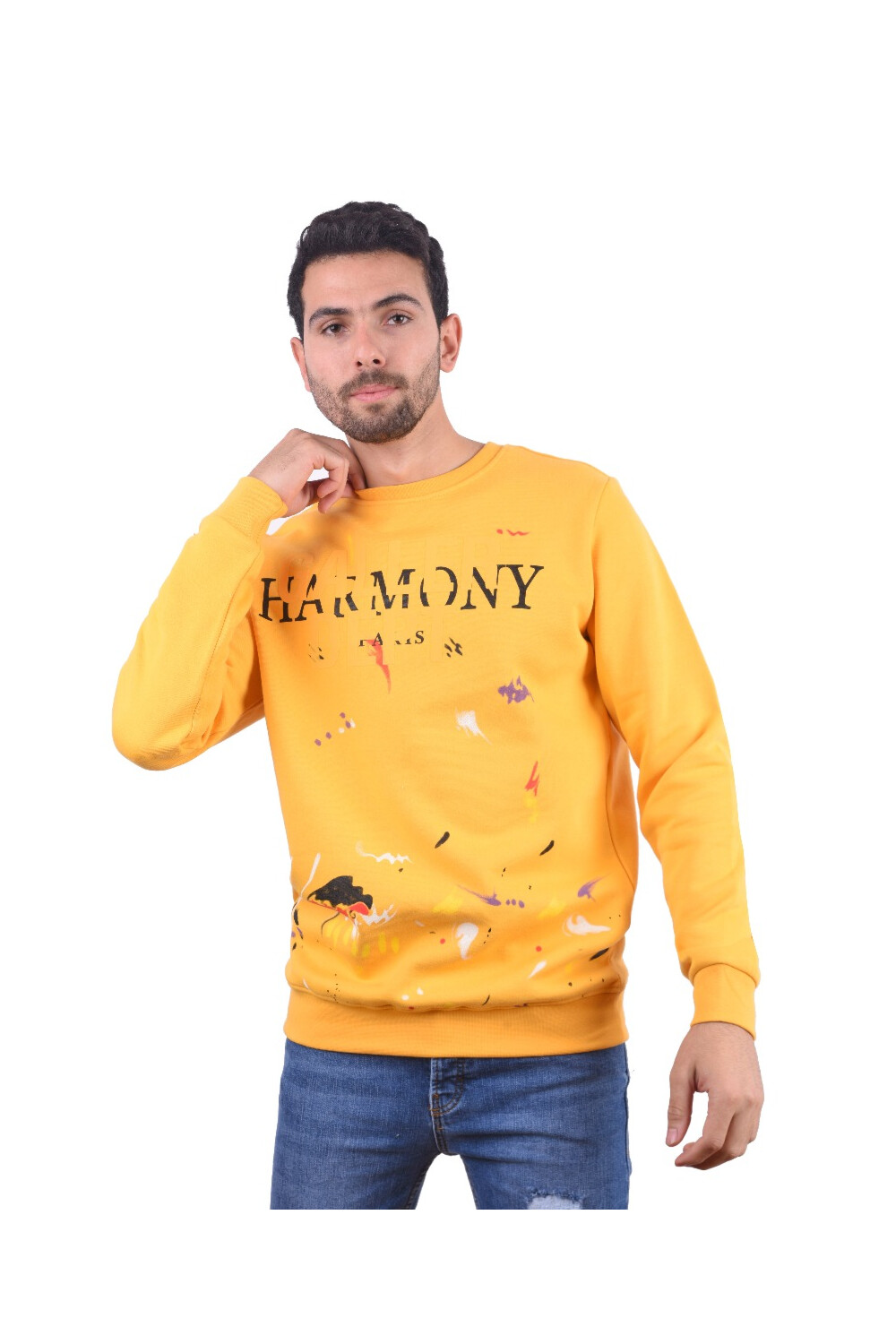 Men's Regular Fit Crew Neck Printed Long Sleeves Padded Sweatshirt