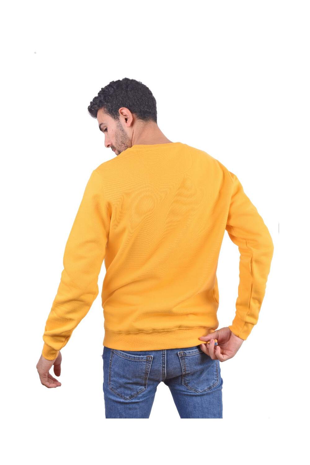 Men's Regular Fit Crew Neck Printed Long Sleeves Padded Sweatshirt