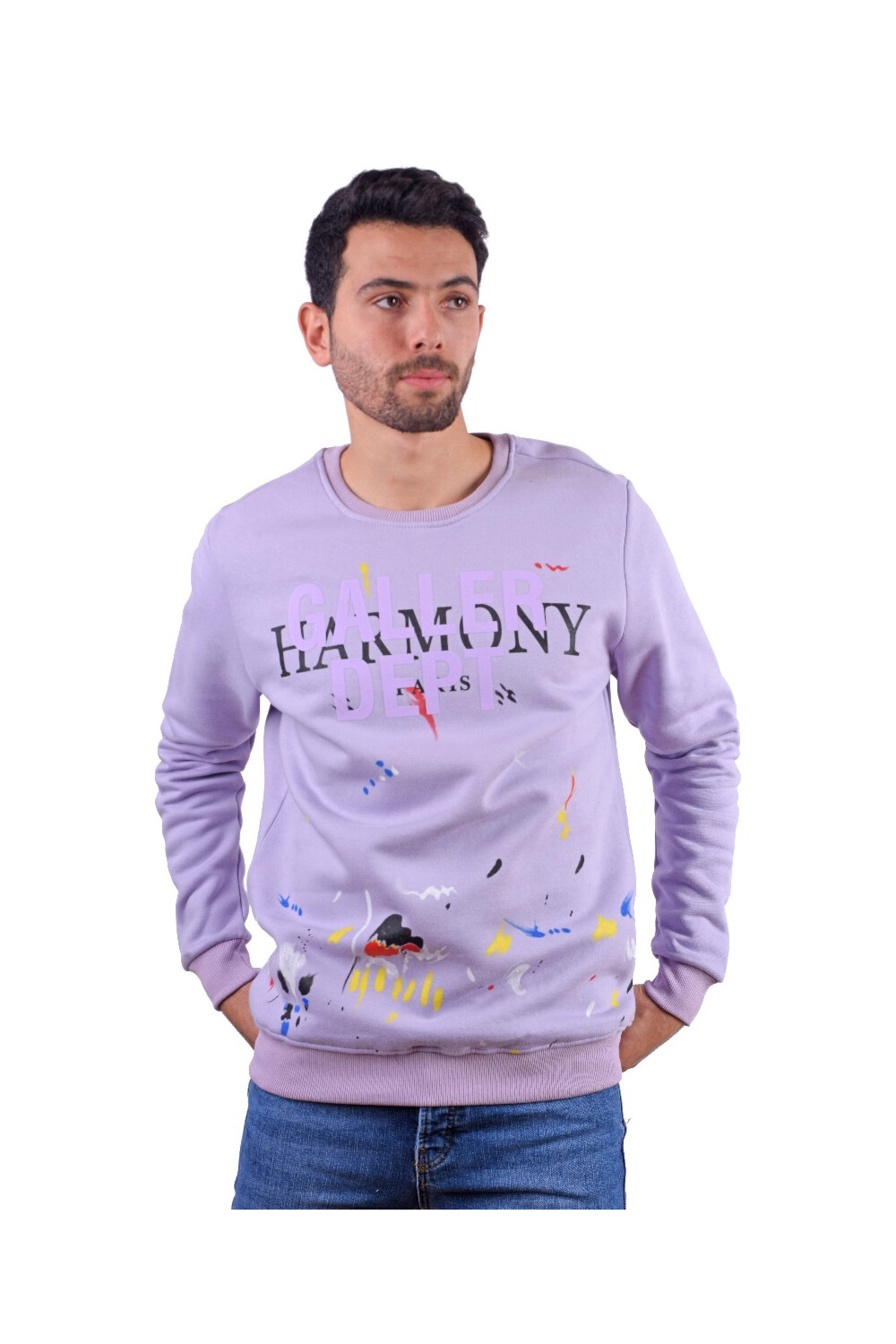 Men's Regular Fit Crew Neck Printed Long Sleeves Padded Sweatshirt