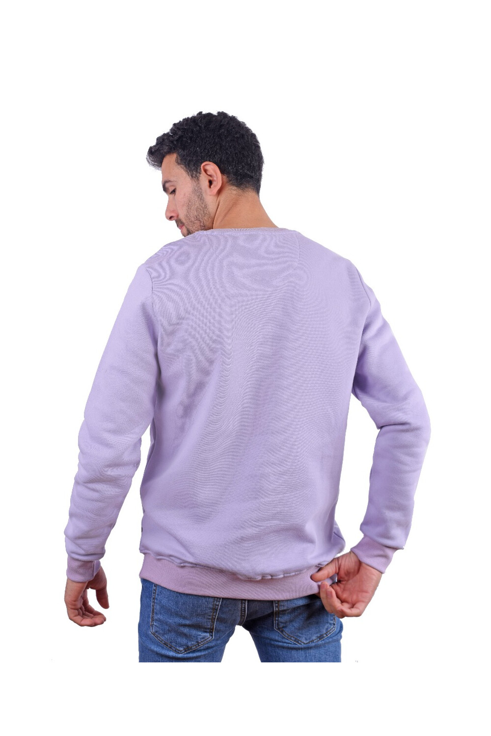Men's Regular Fit Crew Neck Printed Long Sleeves Padded Sweatshirt