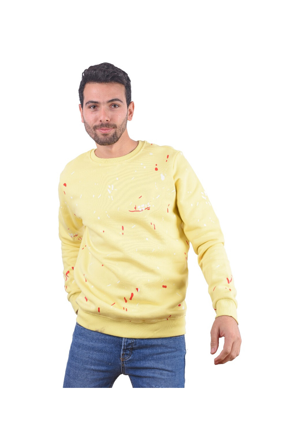 Men's Regular Fit Crew Neck Printed Long Sleeves Padded Sweatshirt