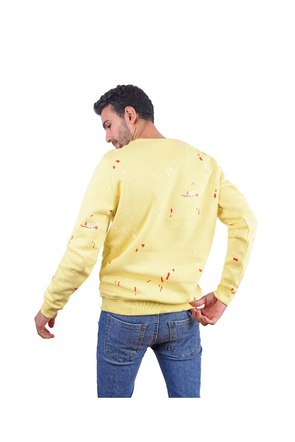 Men's Regular Fit Crew Neck Printed Long Sleeves Padded Sweatshirt