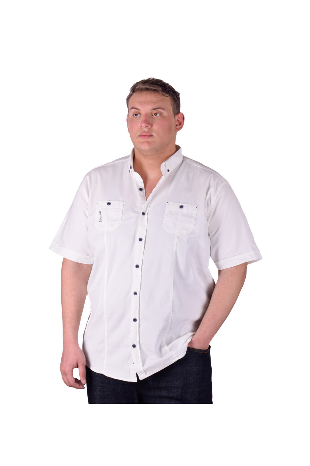 Men's Long Sleeves Classic Regular Fit Big Size Shirt