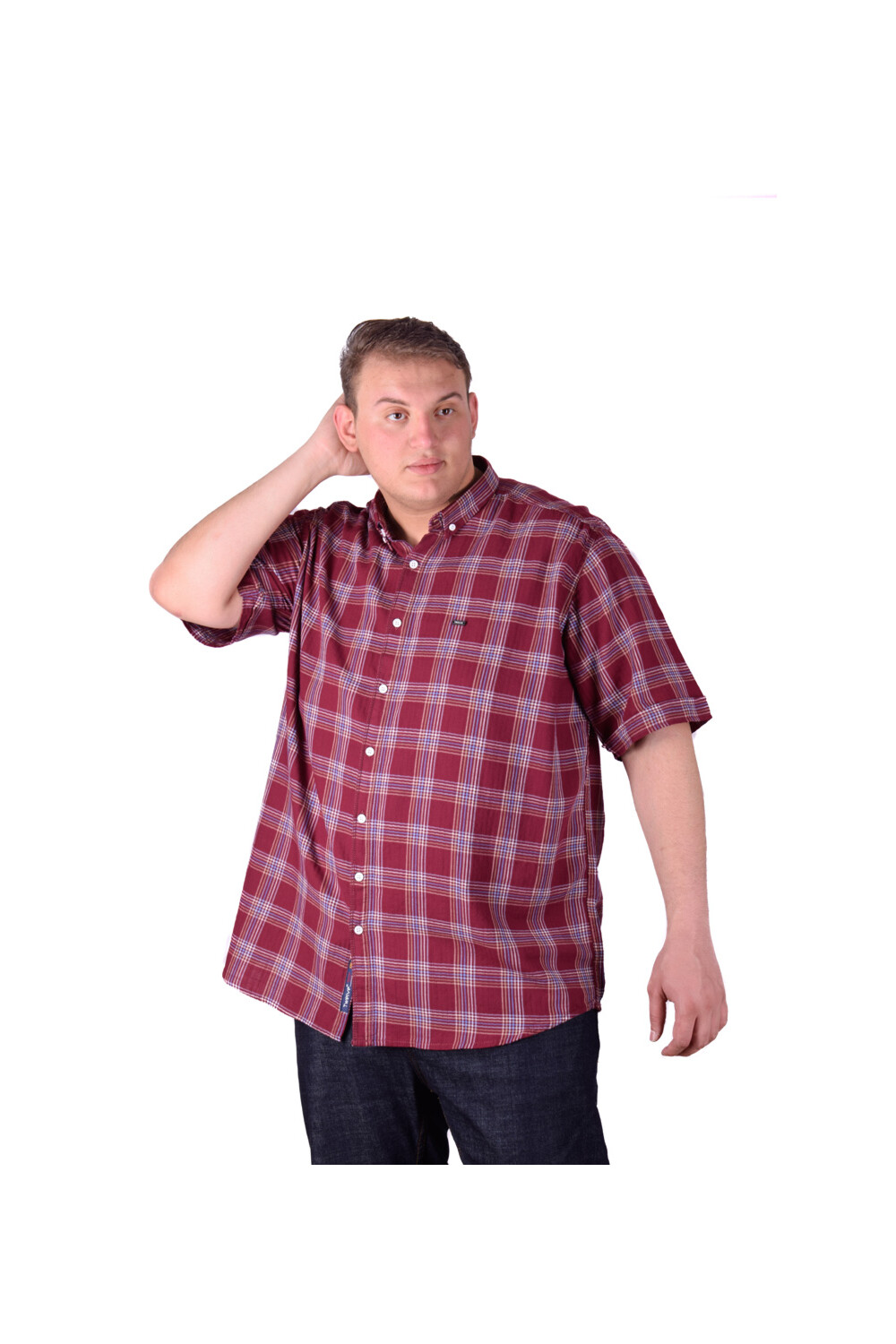 Men's Big Size Casual Checked Short Sleeve Cotton Regular Fit Shirt
