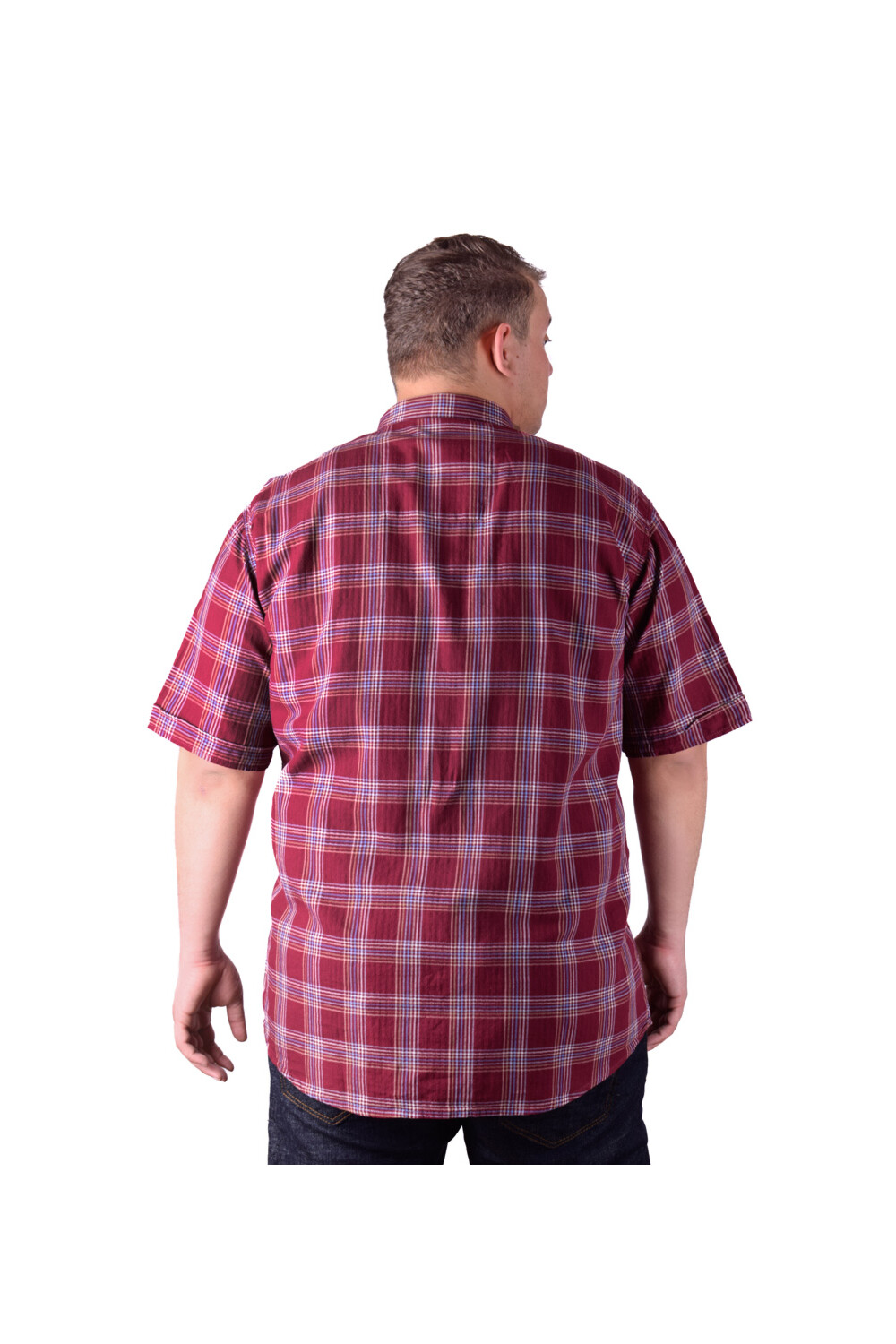 Men's Big Size Casual Checked Short Sleeve Cotton Regular Fit Shirt
