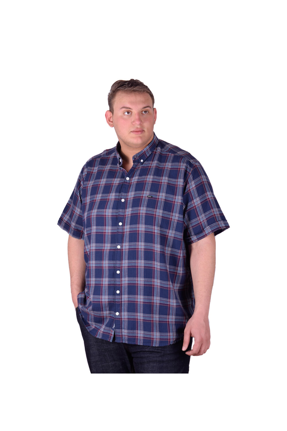 Men's Big Size Casual Checked Short Sleeve Cotton Regular Fit Shirt