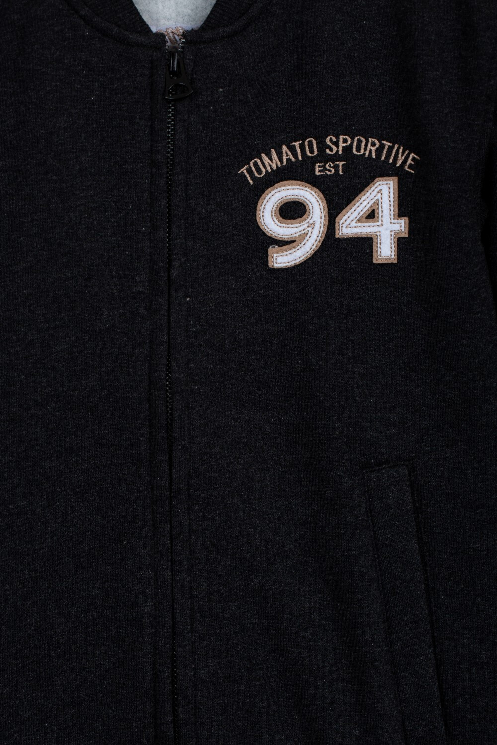 Boy's Slim Fit Full Zipper Padded Front & Back Printed Melton Sweatshirt