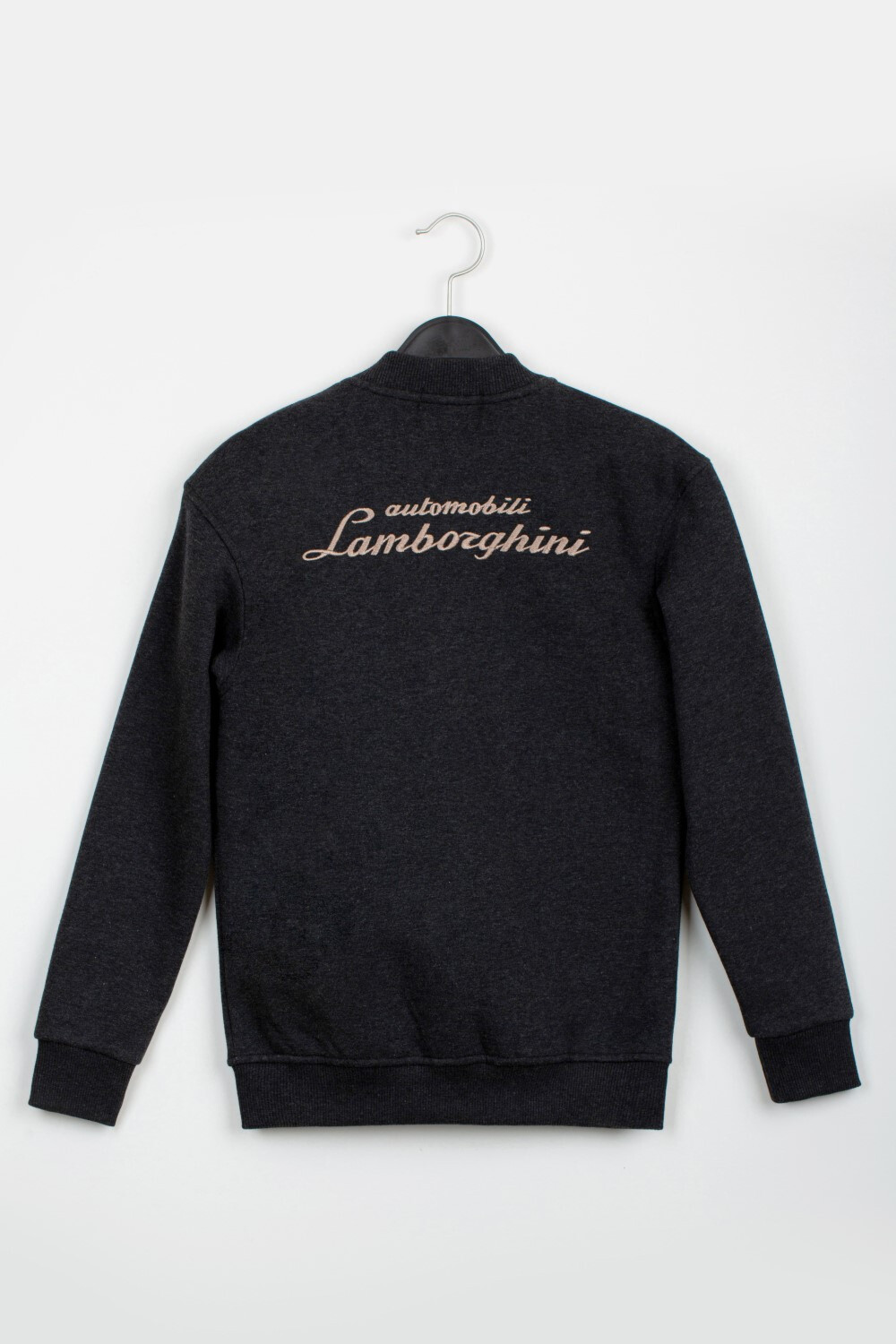 Boy's Slim Fit Full Zipper Padded Front & Back Printed Melton Sweatshirt