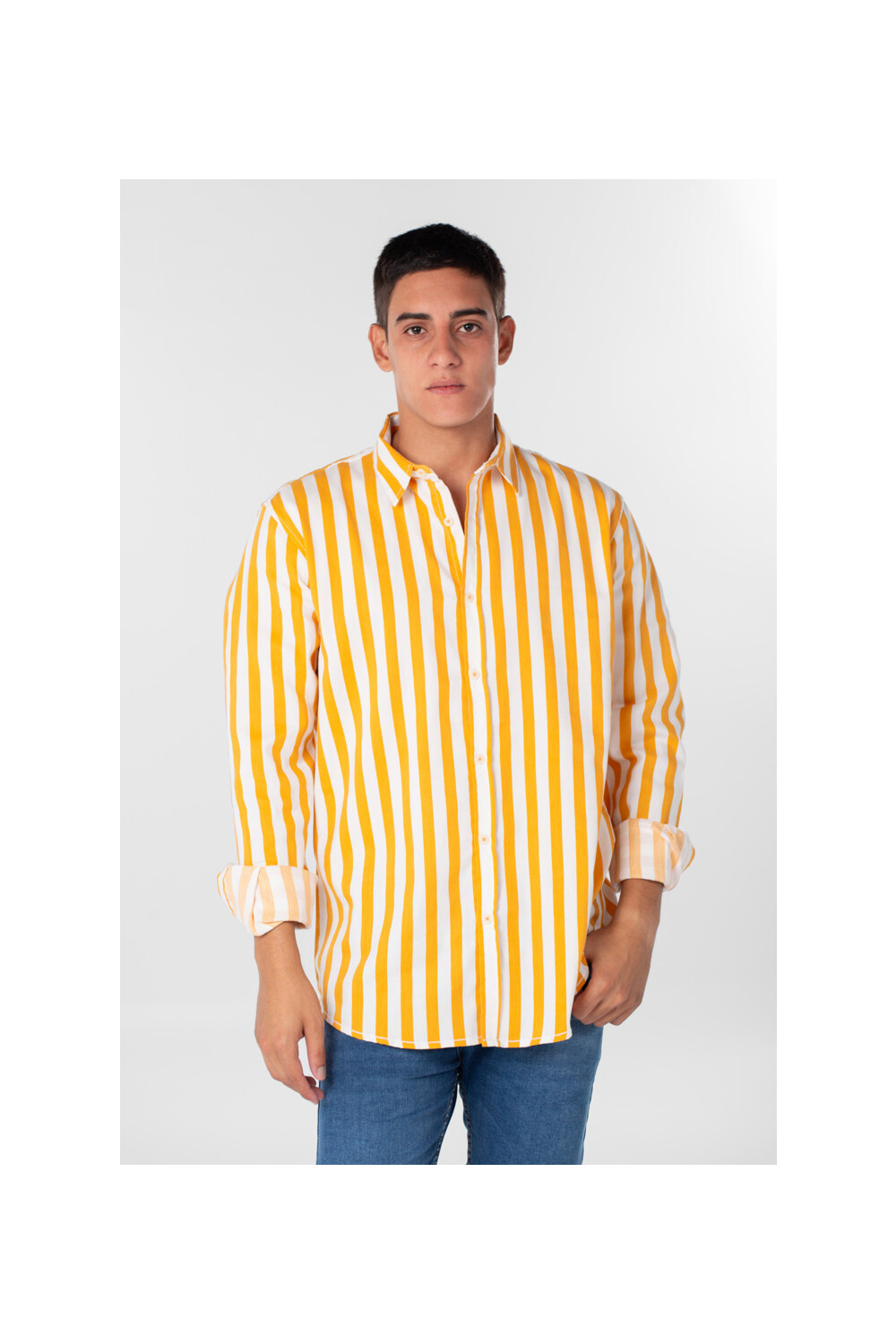 Men's Striped Cotton Regular Fit Long Sleeves Shirt