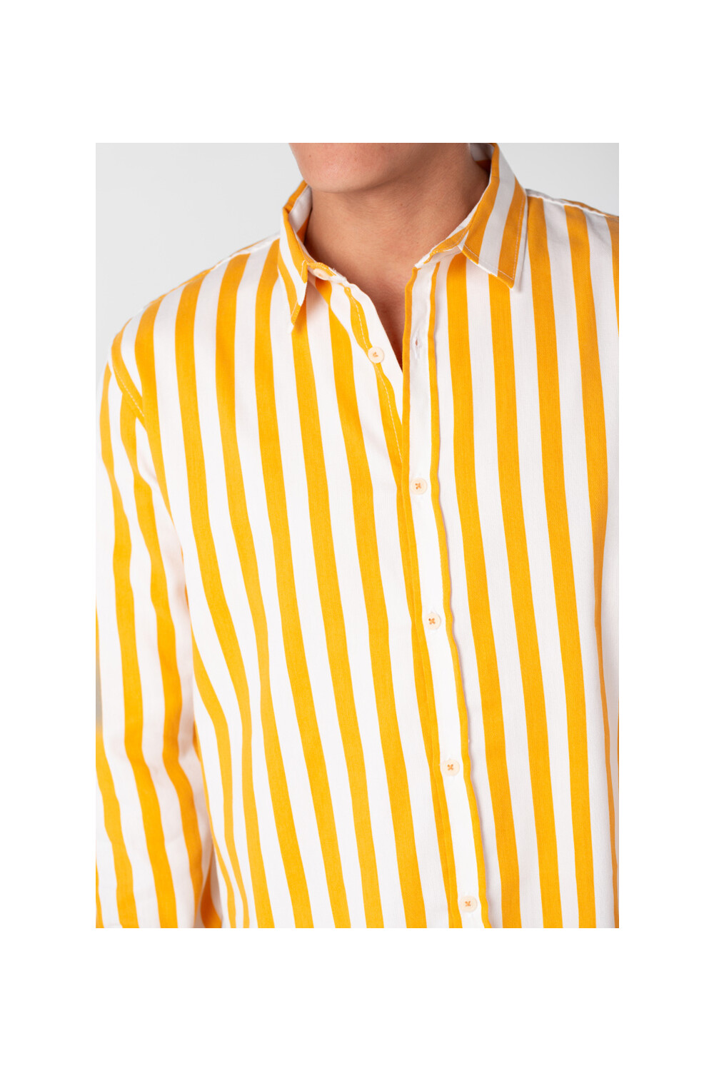 Men's Striped Cotton Regular Fit Long Sleeves Shirt