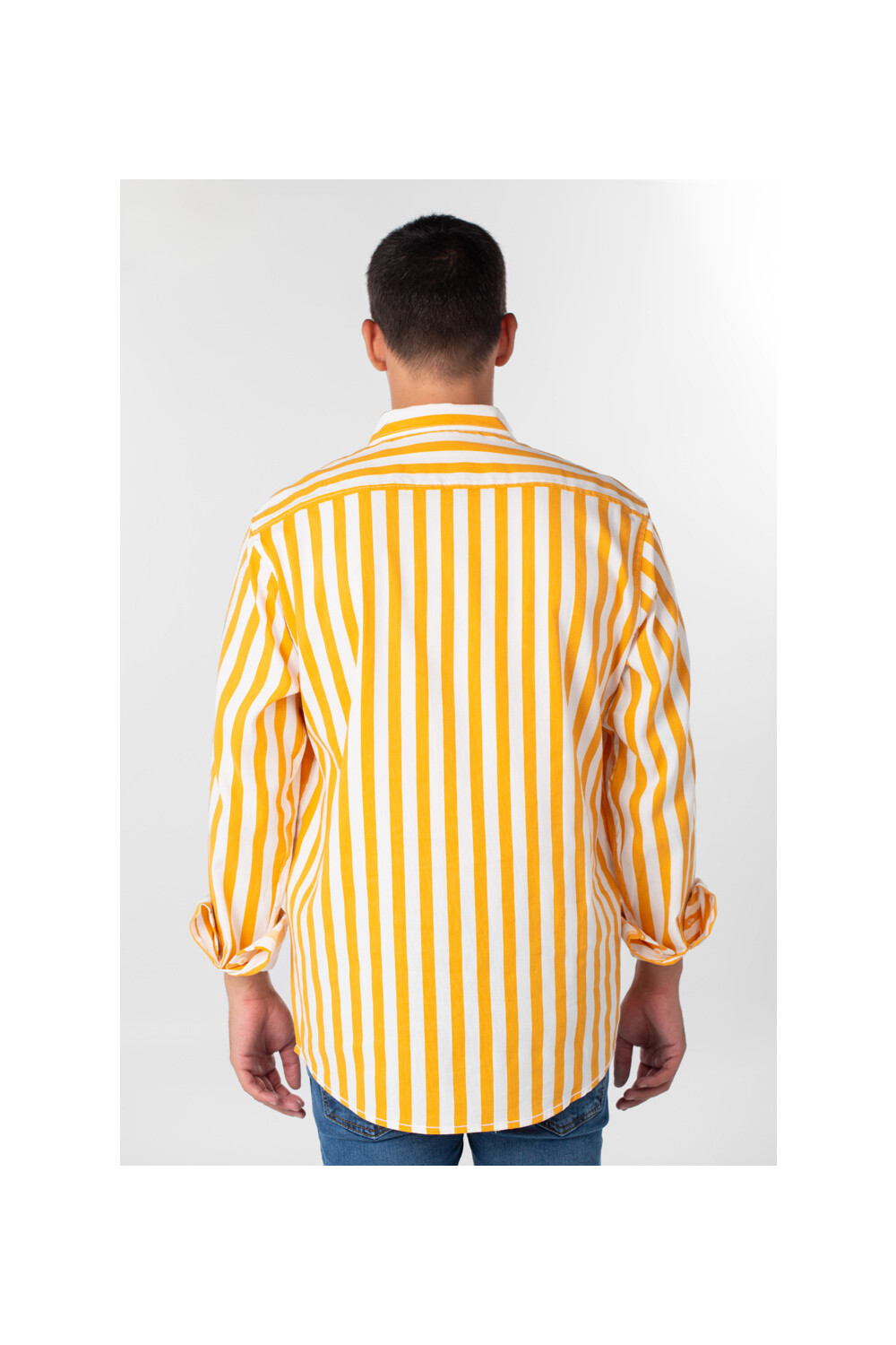 Men's Striped Cotton Regular Fit Long Sleeves Shirt